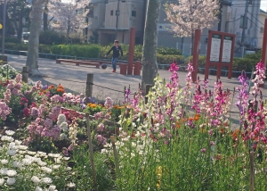 戸外で体を動かそう