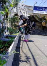 花植え