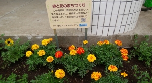 鮮やかな花