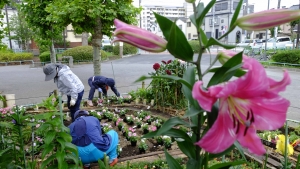 花植えを見ているような、見られているような・・・。