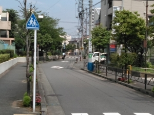 街路樹の下にも楽しい