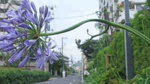 お～っと・・・。