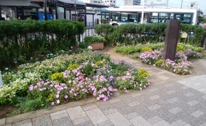 梅雨明けからの