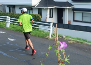 見ましたか？