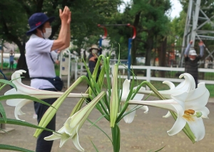 元気の源