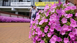 区役所へ行こう