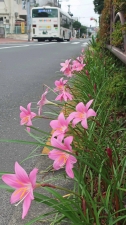 住み心地、悪くないですよ。