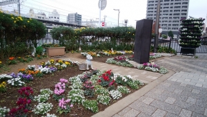 金町駅南口を彩ってます♪