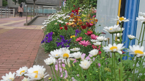 花壇はベストコンディション