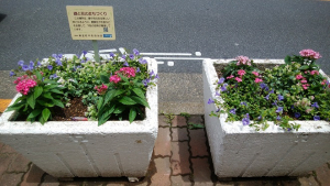 夏の花壇になりました✿