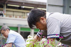 花で彩る金町北口駅前