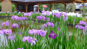 雨の日がいい