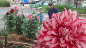 花を愛でながら