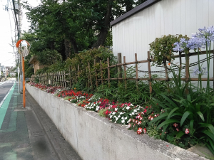 半田小学校の周り その1