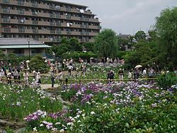 花で彩る金町北口駅前