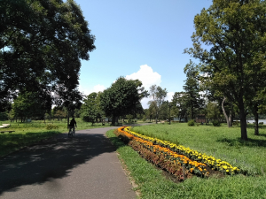 花いっぱいです♫