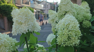 路地裏の日常