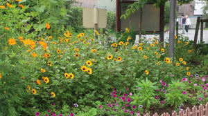 花が絶えない公園