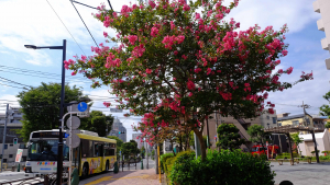 街には花がある、活気がある。