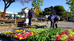 花が揃った