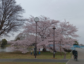 絶景です