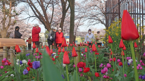 毎日の繰り返しで、健康に！