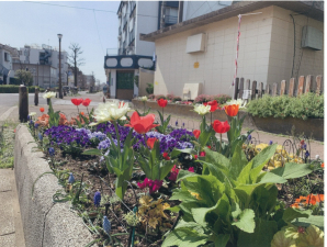 ときわ花小路花壇