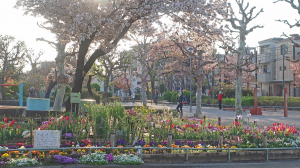 一日の始まりは