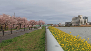 「春」を歩く