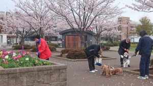 公園の朝