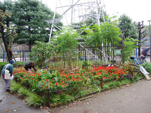 上千葉砂原公園