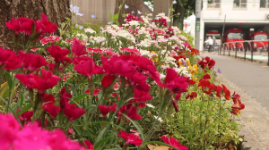 花壇が出来た。