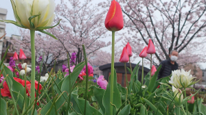 公園へ行こう