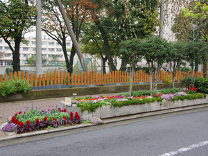 ときわ花小路通り