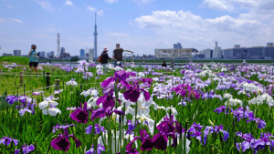 ここ、気持ちがいいんです。