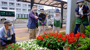 花壇コンクールに向けて