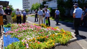 第６回かつしか花いっぱいの花壇コンクール審査会スナップ