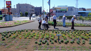 第６回かつしか花いっぱいの花壇コンクール審査会スナップ