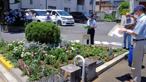 第６回かつしか花いっぱいの花壇コンクール審査会スナップ