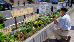 第６回かつしか花いっぱいの花壇コンクール審査会スナップ