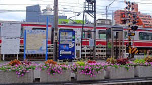 電車が行ったり来たり・・・。