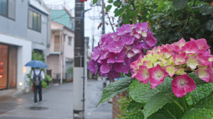 雨の日がいい。