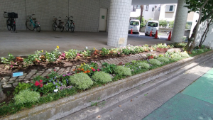 素敵な花壇がありますよ♡