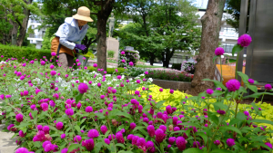 花壇でいきいき