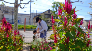 遊びに来ました。