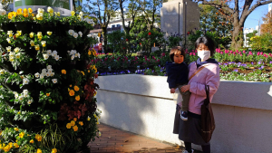 お散歩コースの花壇で、