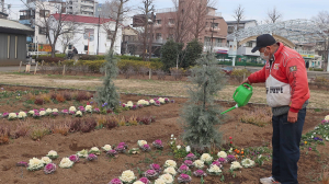 お花に水をあげずにはいられません。