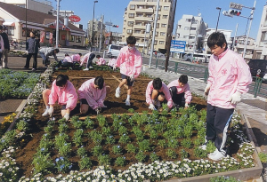 柴又フロリズ花壇