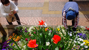 花に誘われるんですよ。