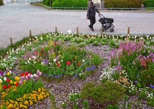 春の花壇。